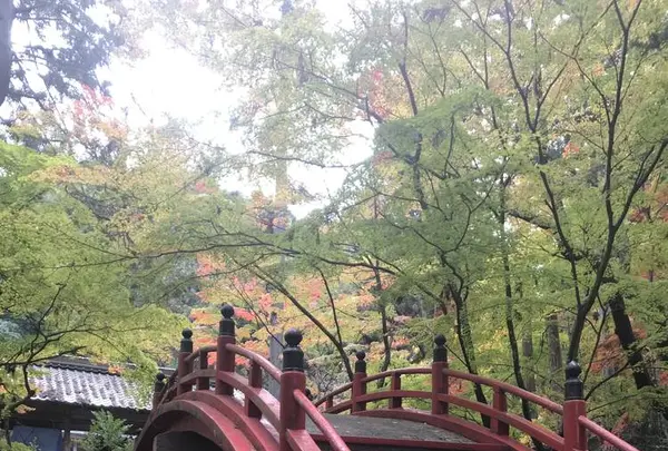 今高野山龍華寺の写真・動画_image_323840