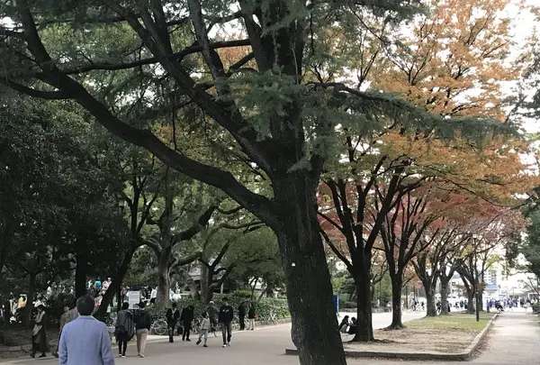 鶴舞公園の写真・動画_image_323972