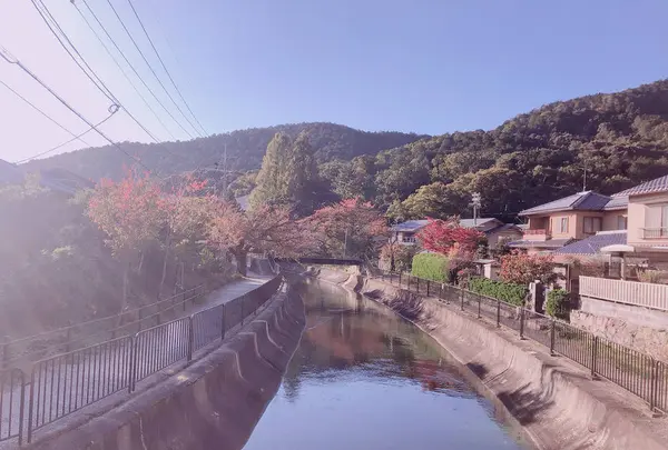 毘沙門堂の写真・動画_image_324302