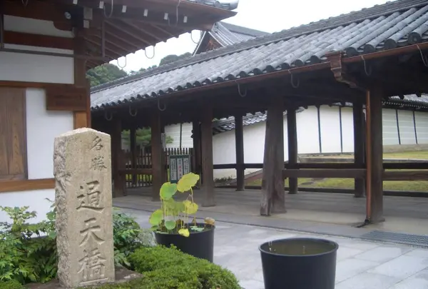東福寺の写真・動画_image_324574