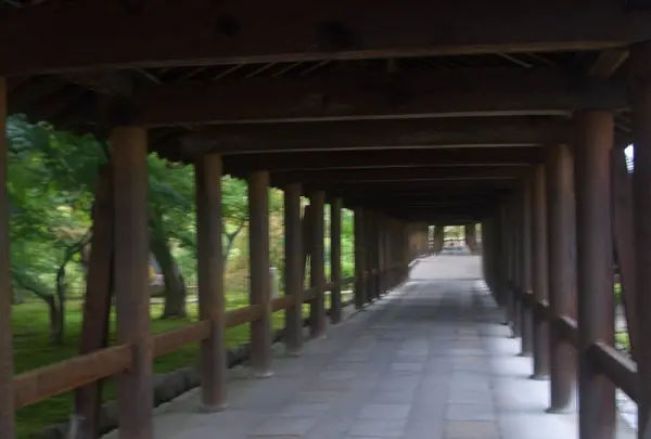 東福寺の写真・動画_image_324575