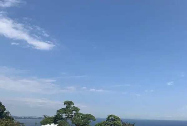 アカオハーブ＆ローズガーデンの写真・動画_image_325486