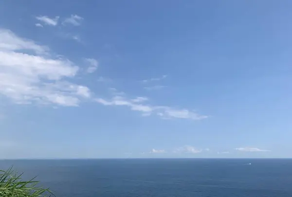 アカオハーブ＆ローズガーデンの写真・動画_image_325488