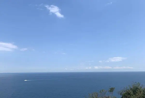 アカオハーブ＆ローズガーデンの写真・動画_image_325489