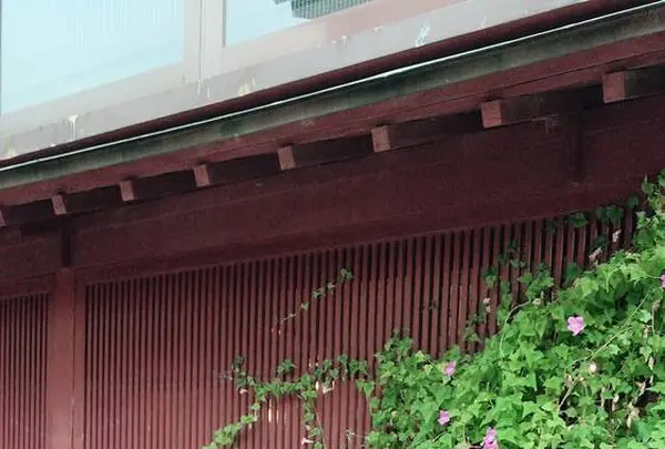 ひがし茶屋街の写真・動画_image_325719
