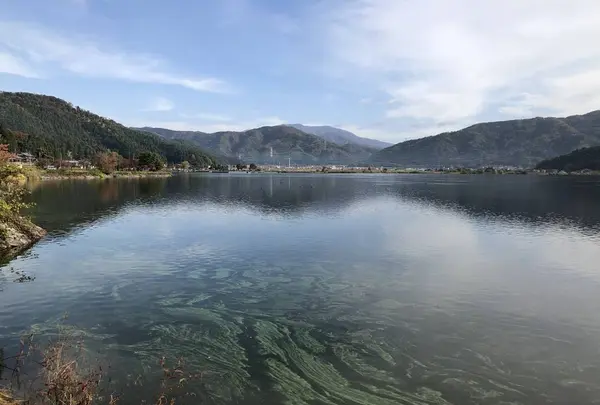 徳山鮓の写真・動画_image_325926