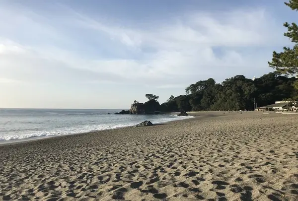 桂浜の写真・動画_image_326090