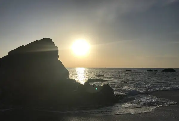 桂浜の写真・動画_image_326364