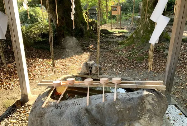 三朝神社の写真・動画_image_326380