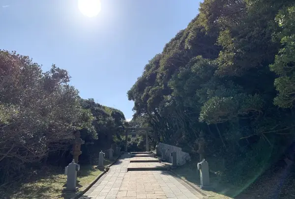 白兎神社の写真・動画_image_326389