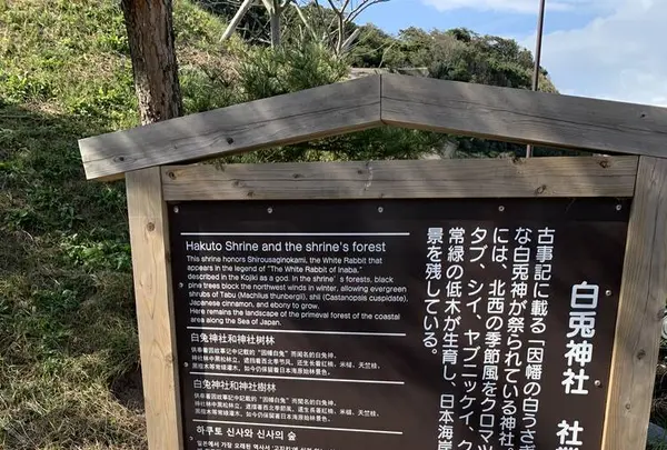 白兎神社の写真・動画_image_326392