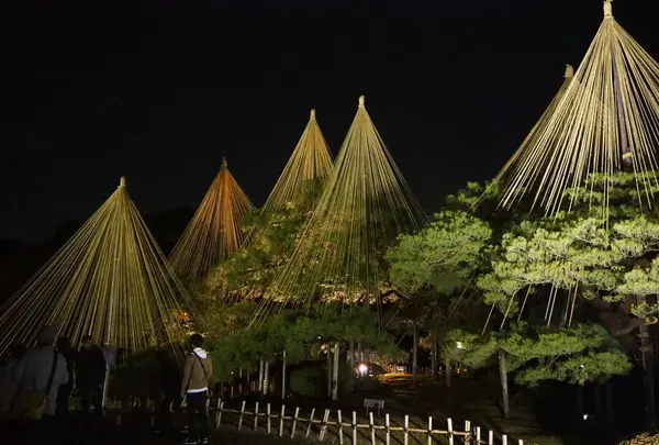 兼六園の写真・動画_image_326403