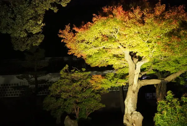 金沢城公園の写真・動画_image_326413