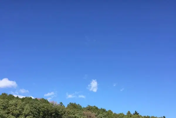 飛行おにのジップラインアドベンチャーの写真・動画_image_326634