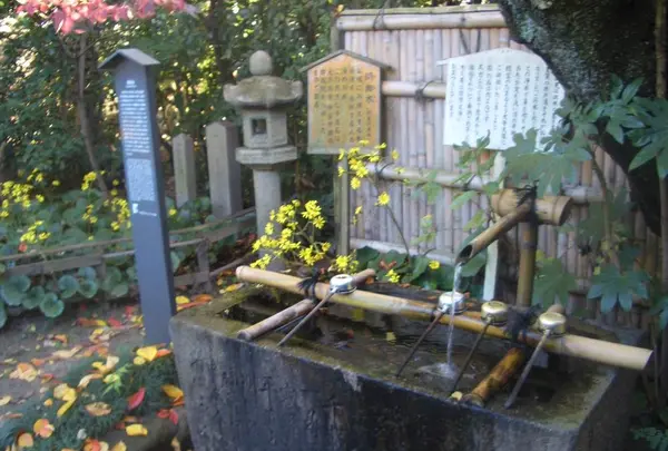 長建寺の写真・動画_image_327027