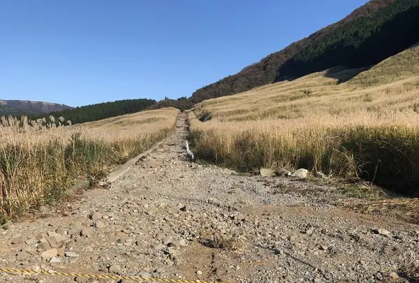 仙石原すすき草原の写真・動画_image_327063