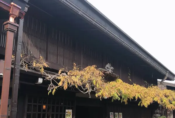 飛騨版画茶房　ばれんの写真・動画_image_328130