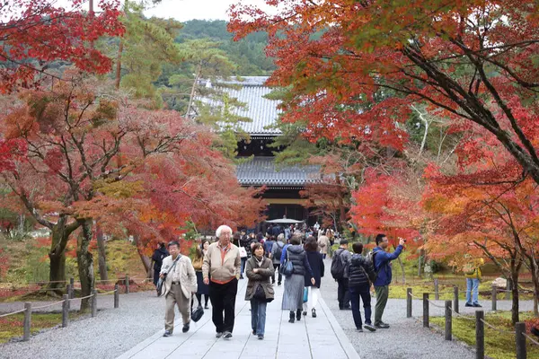 南禅寺の写真・動画_image_328152