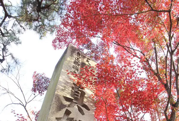 真如堂（真正極楽寺）の写真・動画_image_328195