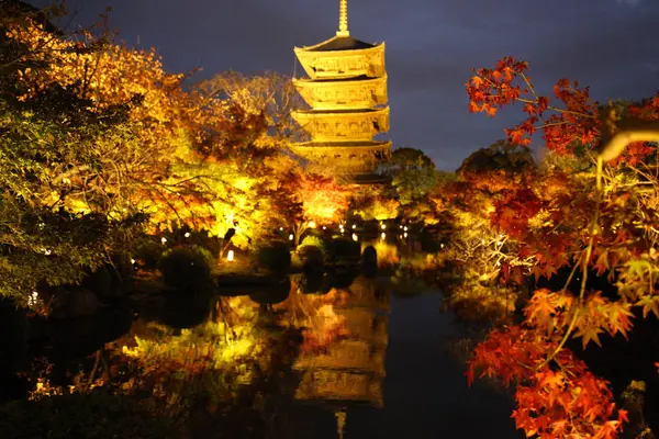 東寺（教王護国寺）の写真・動画_image_328200