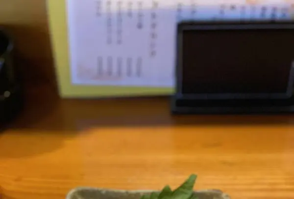 西中洲しん進の写真・動画_image_328270