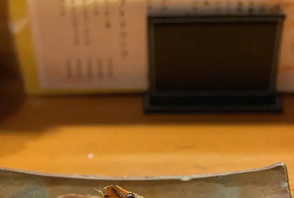西中洲しん進の写真・動画_image_328272