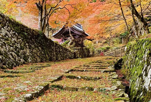 百済寺の写真・動画_image_328332