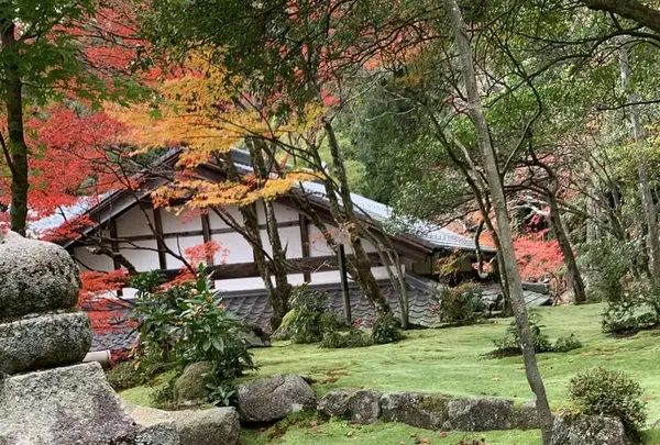 湖東三山西明寺 紅葉名所の写真・動画_image_328337