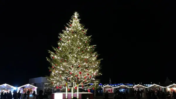 横浜赤レンガ倉庫の写真・動画_image_328509