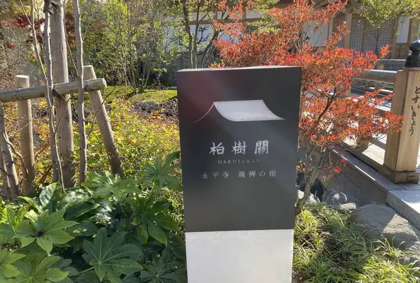 永平寺 親禅の宿 柏樹関（しんぜんのやど はくじゅかん）の写真・動画_image_329135