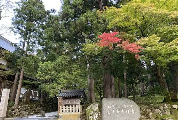 大本山永平寺の写真・動画_image_329140