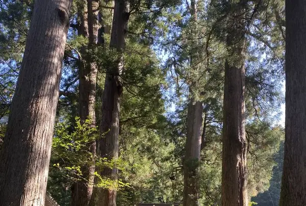 大本山永平寺の写真・動画_image_329141
