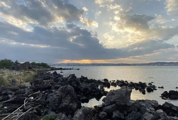 桜島溶岩なぎさ公園＆足湯の写真・動画_image_329143