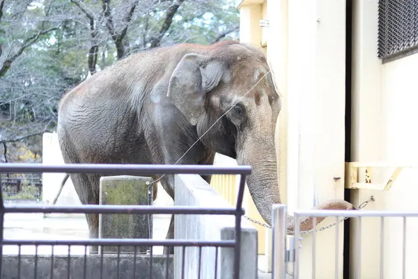 姫路市立動物園の写真・動画_image_330066