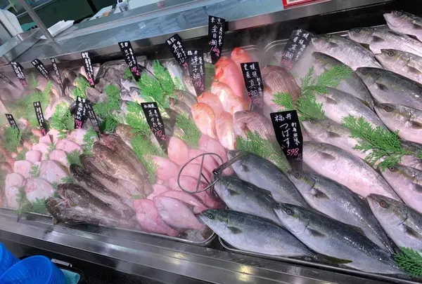 PLANT 高島店の写真・動画_image_330326