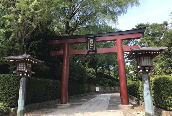 根津神社の写真・動画_image_330398