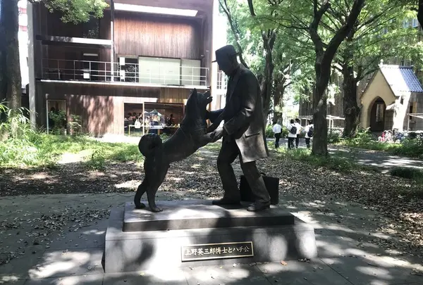 東京大学の写真・動画_image_330402