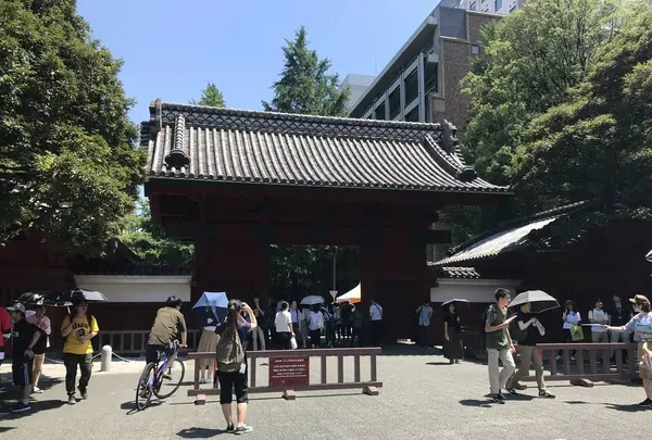 東京大学の写真・動画_image_330411