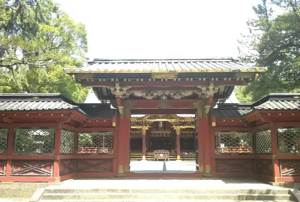 根津神社の写真・動画_image_330415