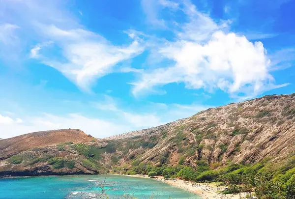 Hanauma Bay（ハナウマ湾）の写真・動画_image_330417