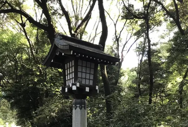 明治神宮の写真・動画_image_330449