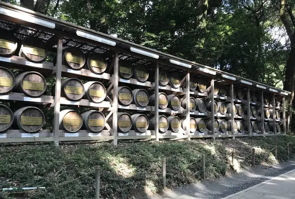 明治神宮の写真・動画_image_330451