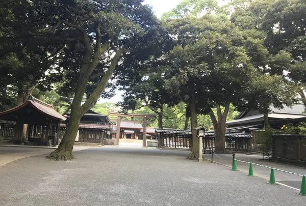 明治神宮の写真・動画_image_330454