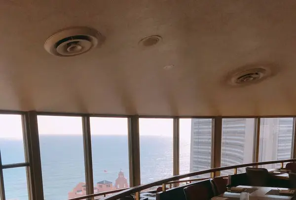 Top of Waikikiの写真・動画_image_330470