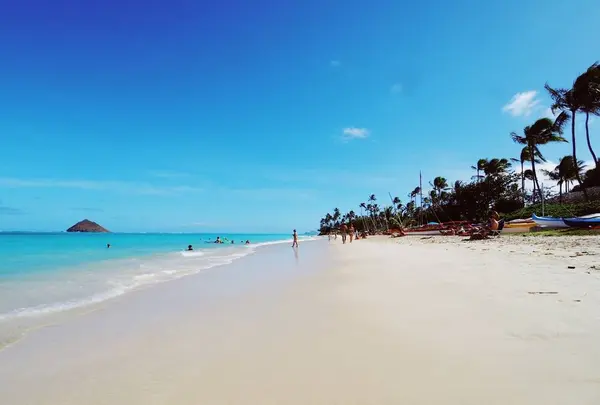 ラニカイ・ビーチの写真・動画_image_330482