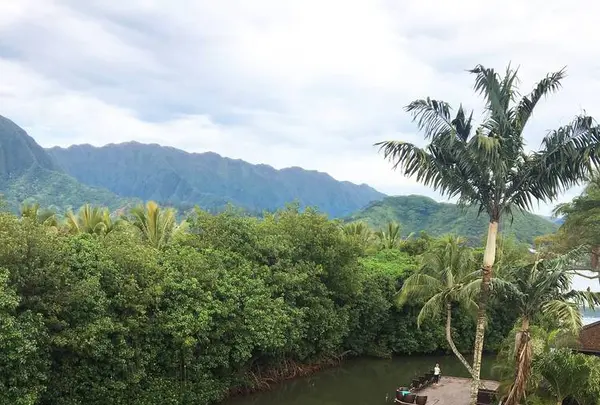 パラダイス ベイ リゾートの写真・動画_image_330556