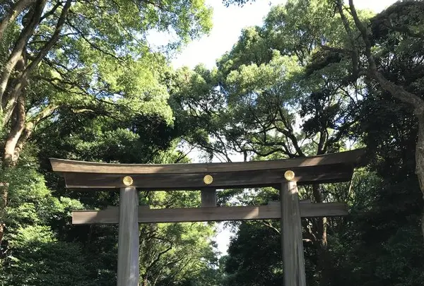 明治神宮の写真・動画_image_330557