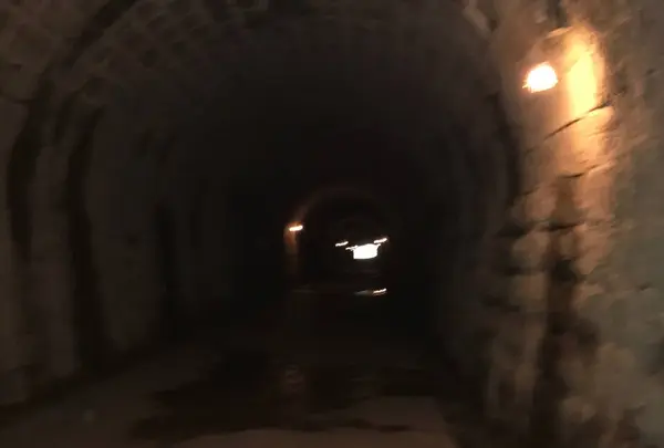 旧天城トンネルの写真・動画_image_330773