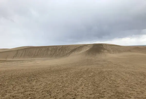 鳥取砂丘の写真・動画_image_330803