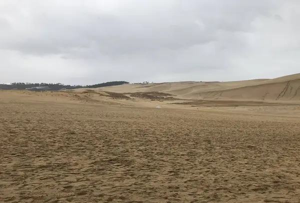 鳥取砂丘の写真・動画_image_330804